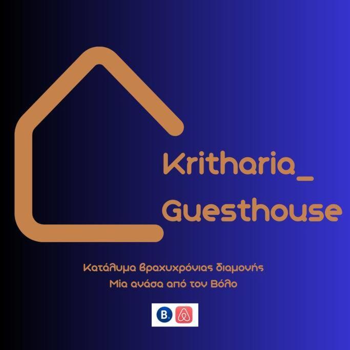 Kritharia Guesthouse Volos ภายนอก รูปภาพ