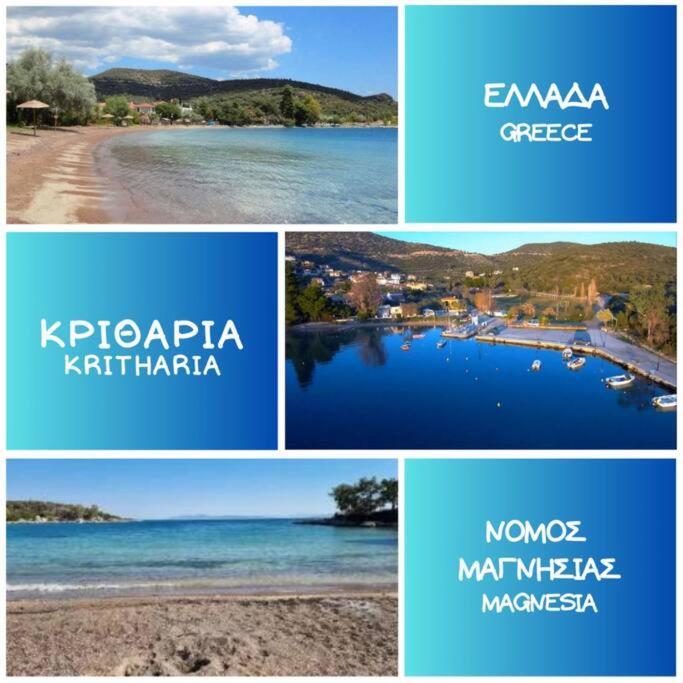 Kritharia Guesthouse Volos ภายนอก รูปภาพ