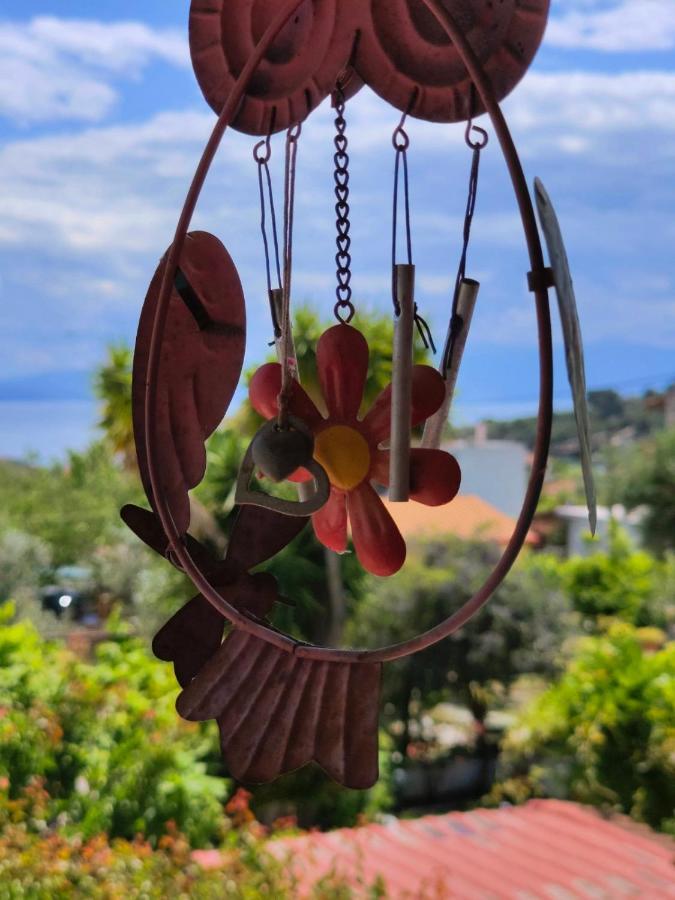 Kritharia Guesthouse Volos ภายนอก รูปภาพ