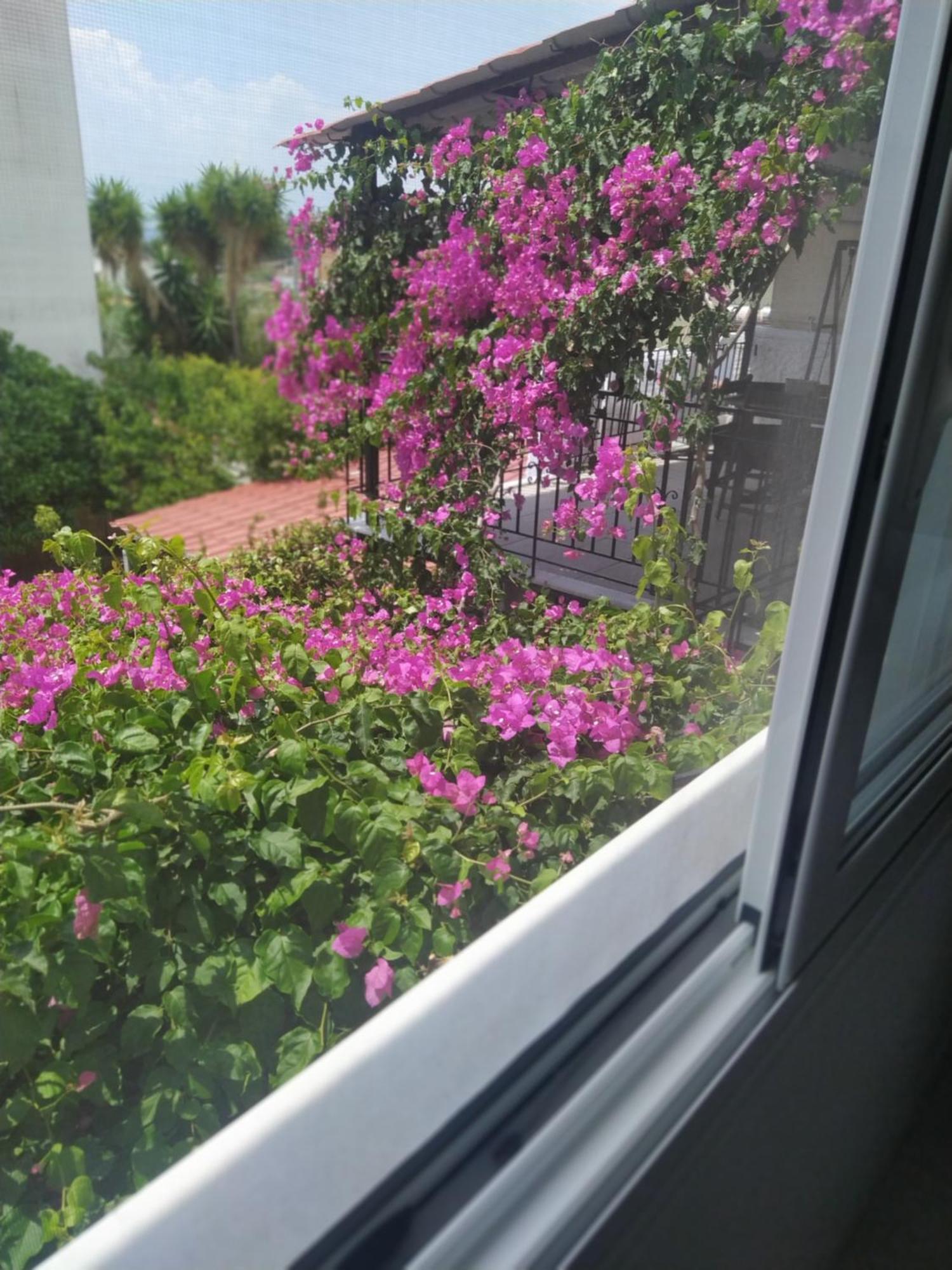 Kritharia Guesthouse Volos ภายนอก รูปภาพ